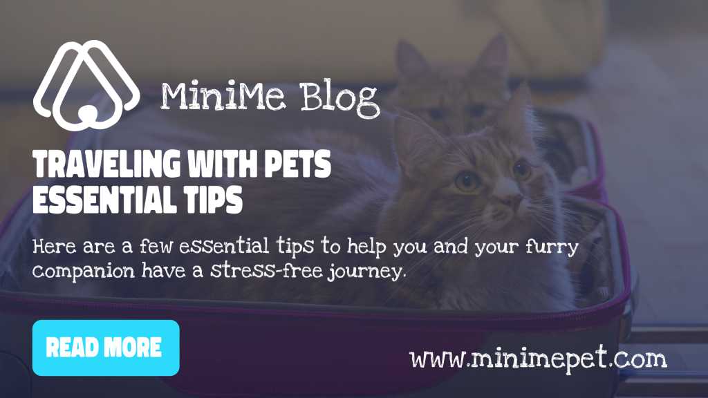 Viajar con mascotas: consejos esenciales