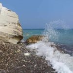 pissouri-cyprus-beach-for-dogs-5