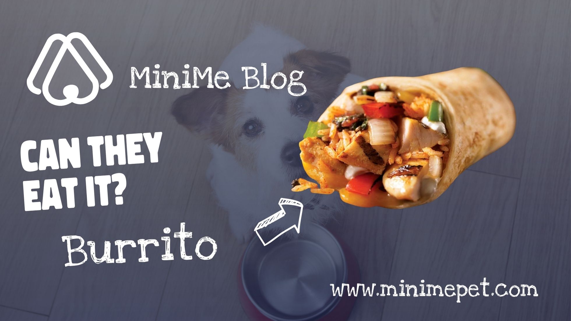 Burritos, Good For Dogs? MiniMe Pet Social App for Pets