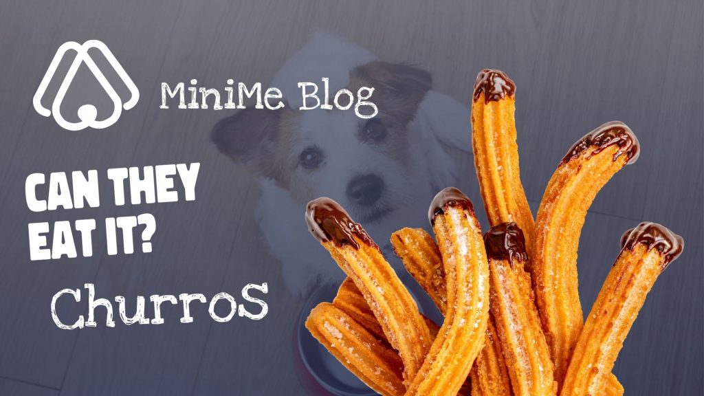 Can Dogs Eat Churros