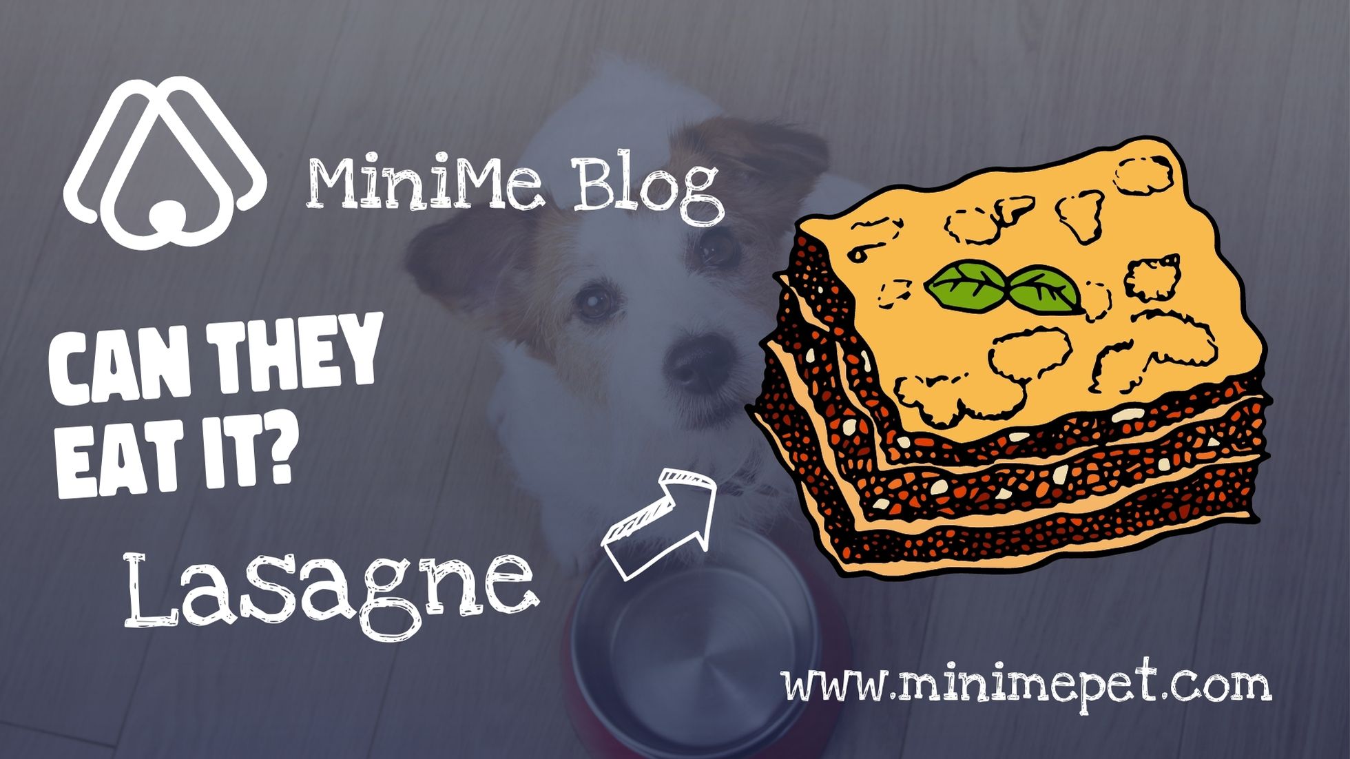 Can Dogs Eat Lasagne? MiniMe Pet