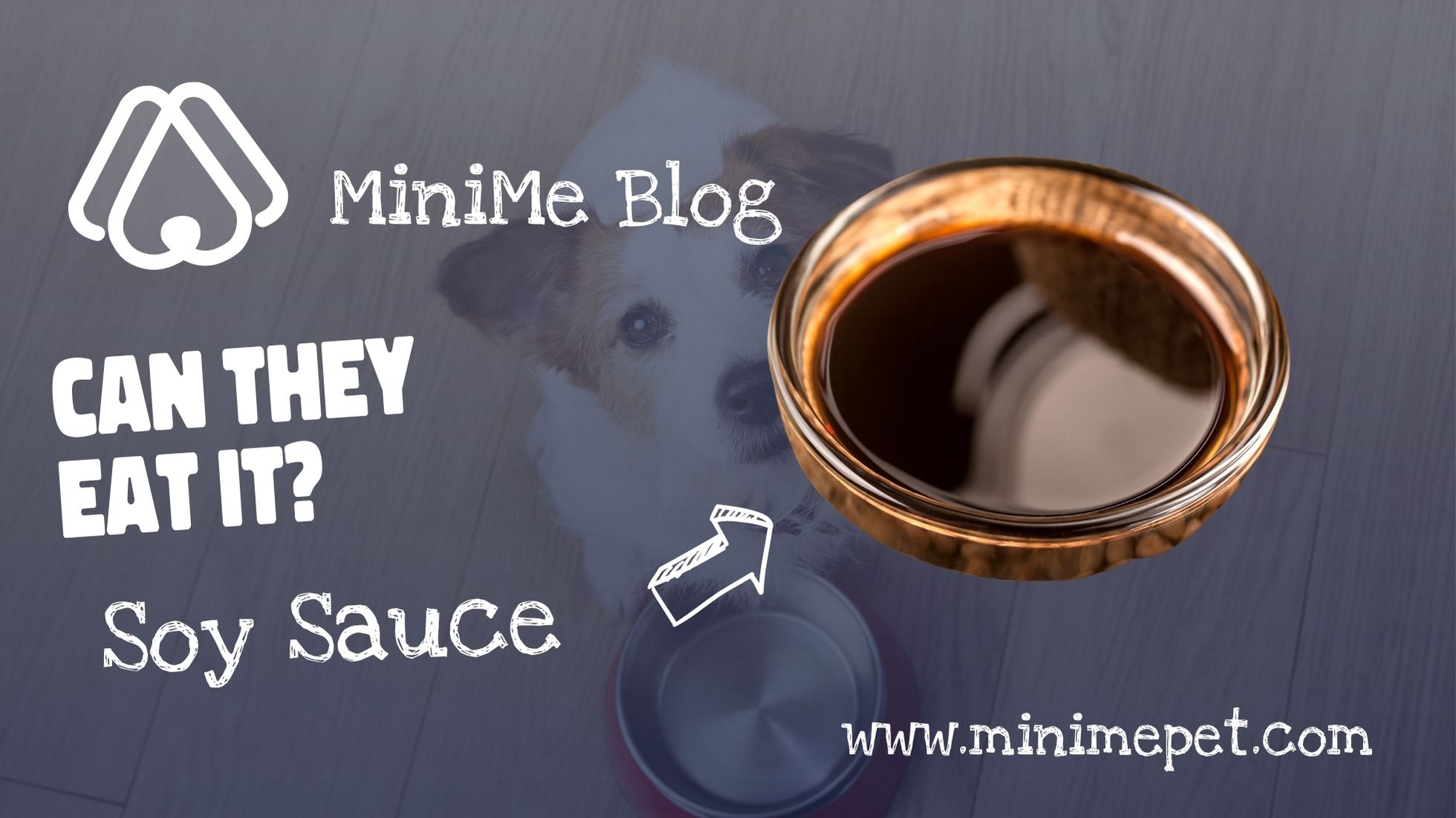 Can Dogs Eat Soy Sauce MiniMe Pet Social App for Pets