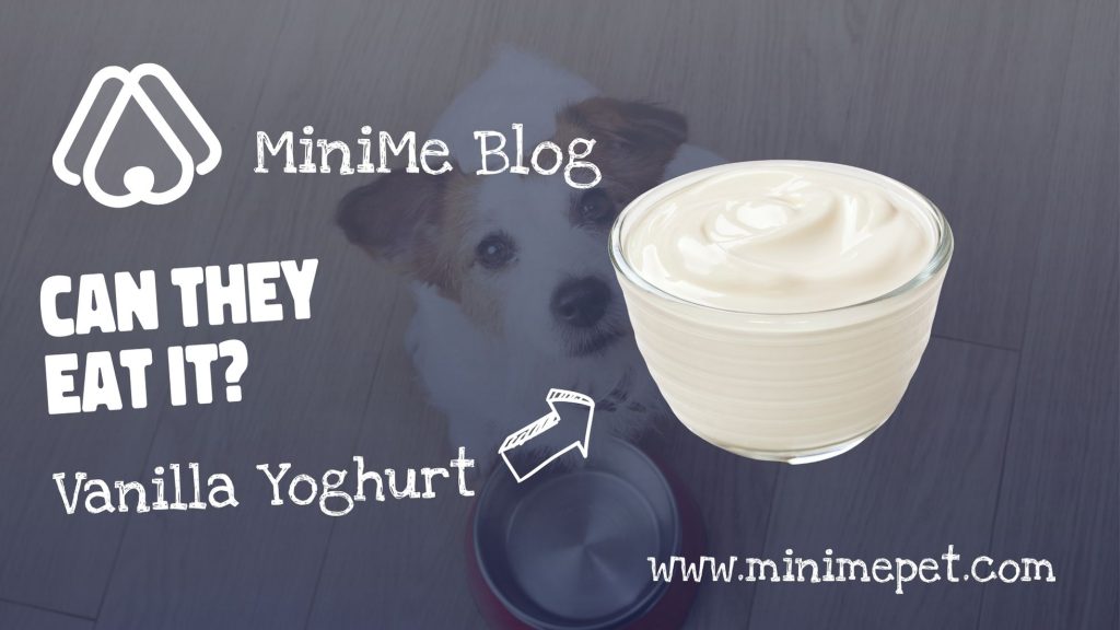 can dogs eat vanilla yoghurt