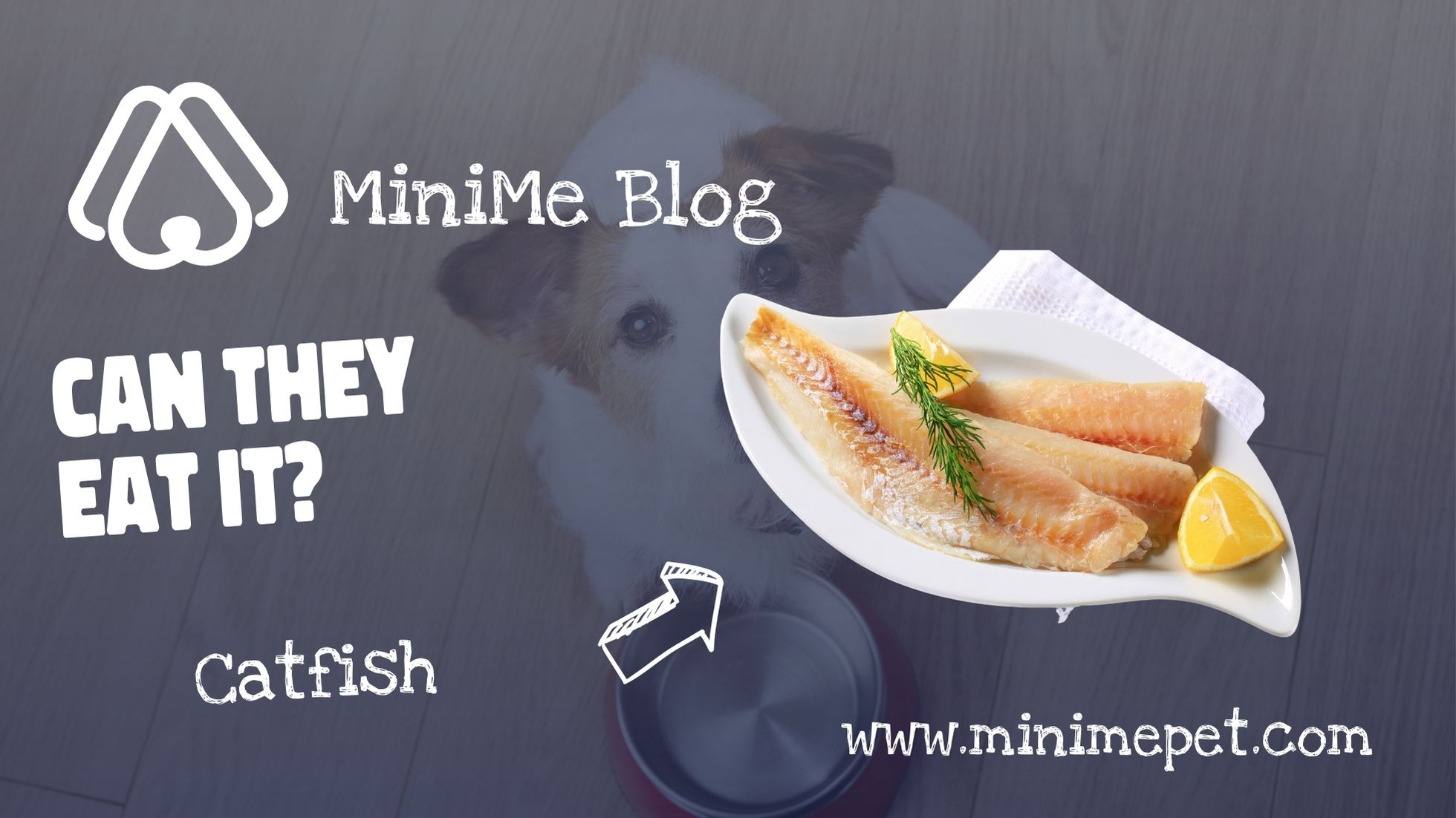 Can Dogs Eat Catfish? MiniMe Pet