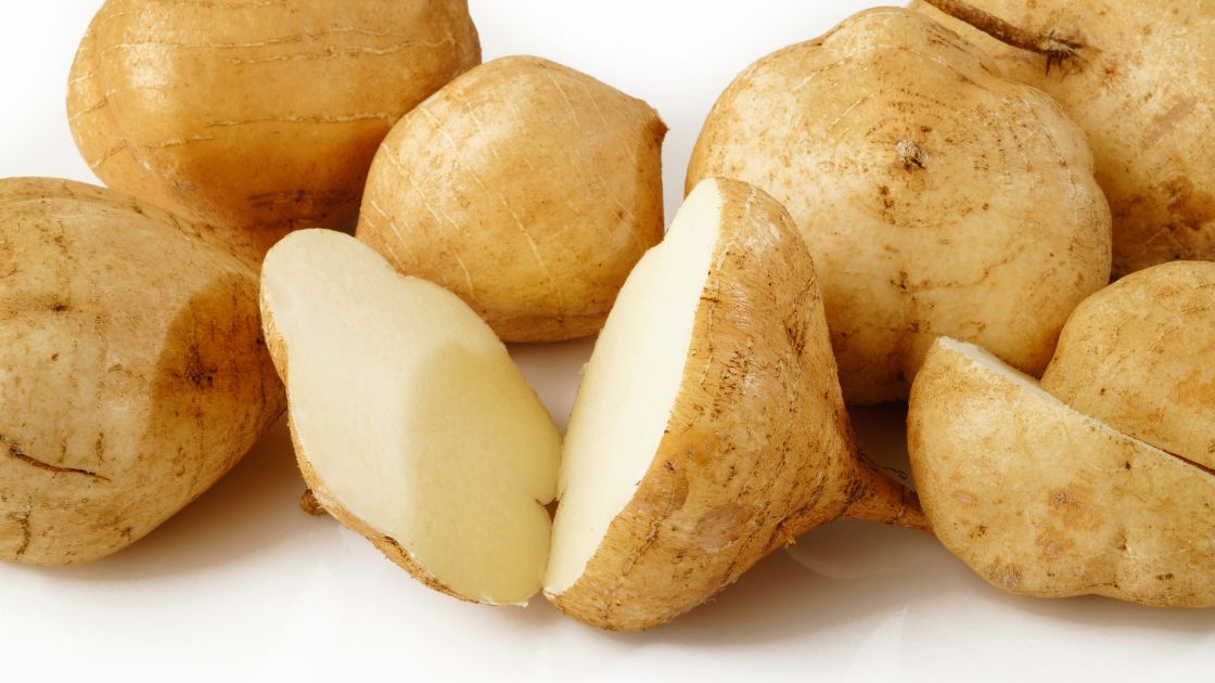 Can Dogs Eat Jicama? MiniMe Pet Social App for Pets
