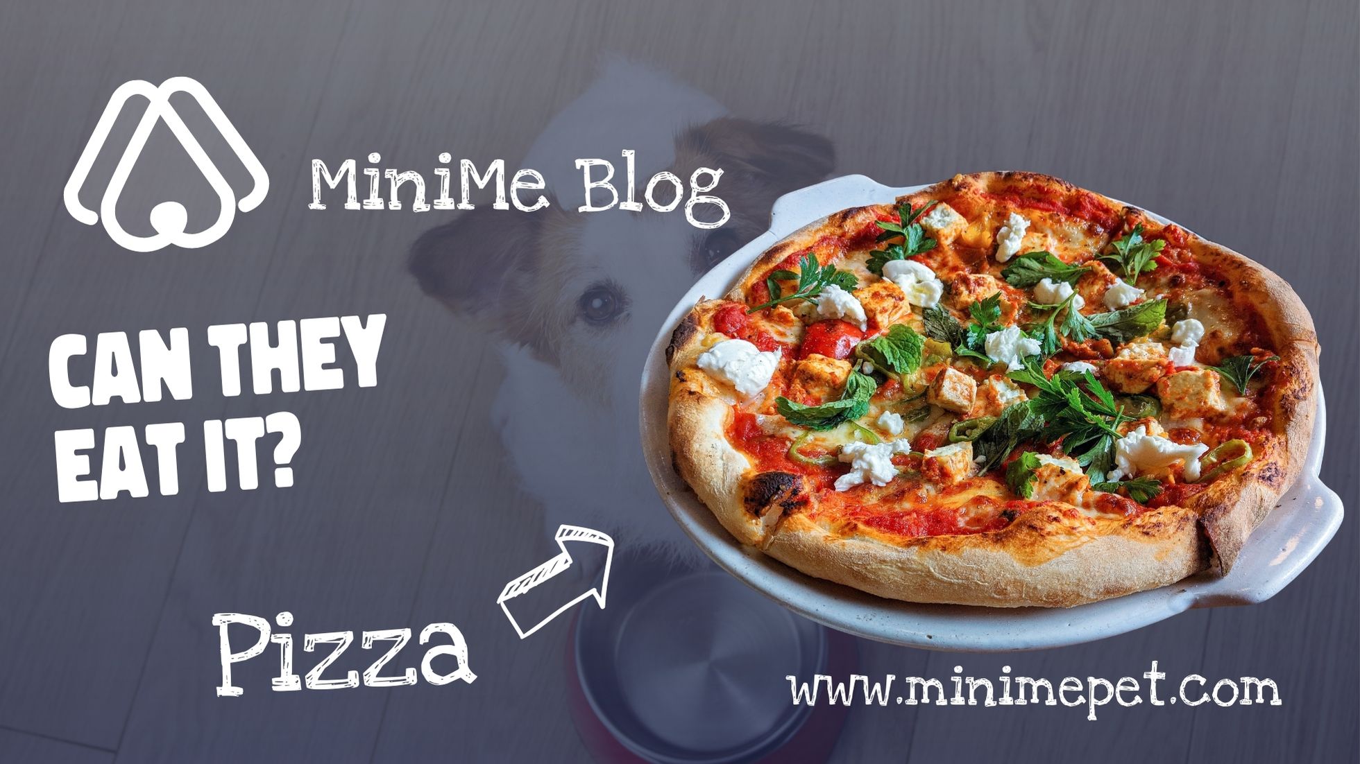 can-dogs-eat-pizza-minime-pet