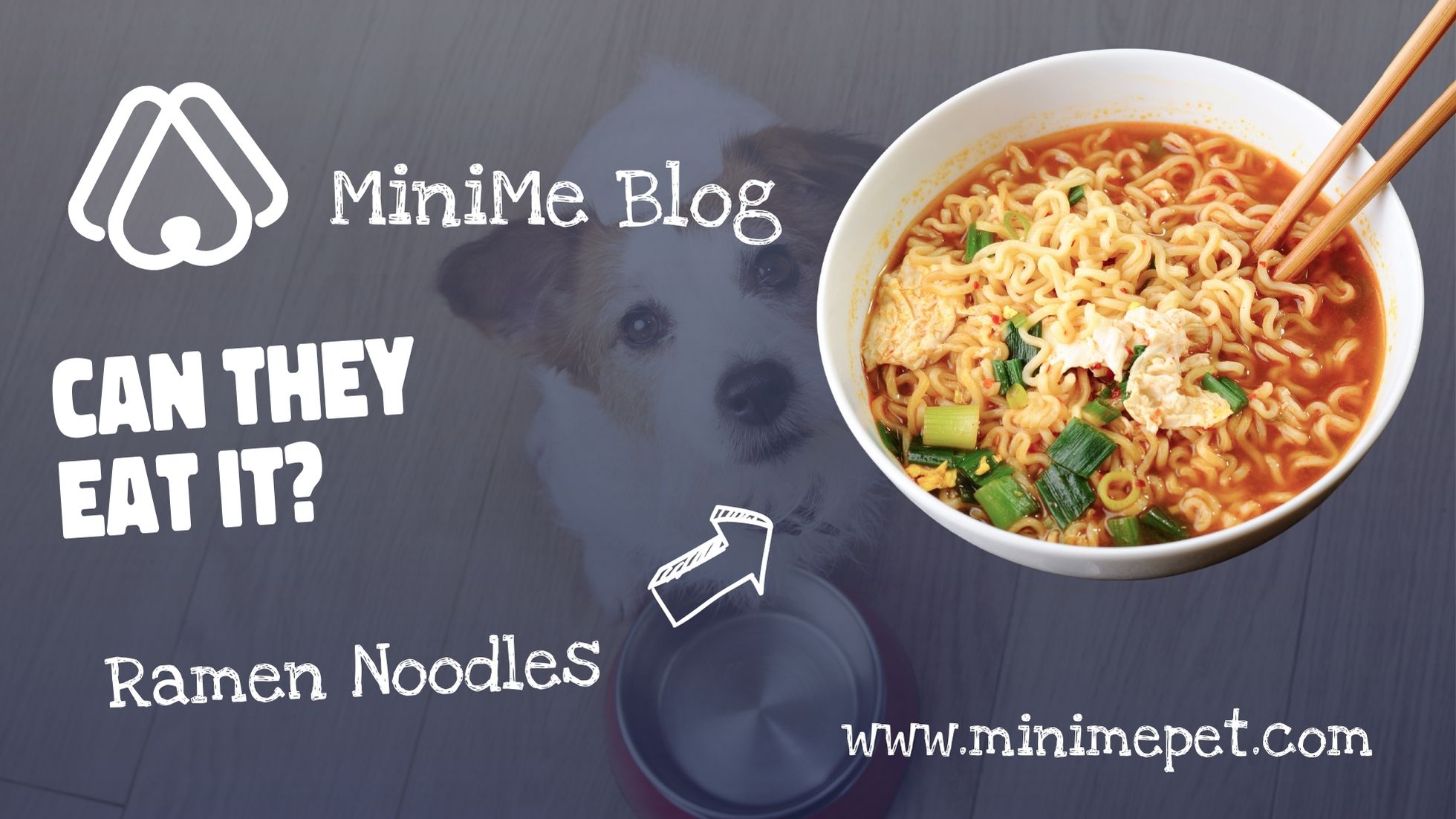 are ramen noodles bad for dogs