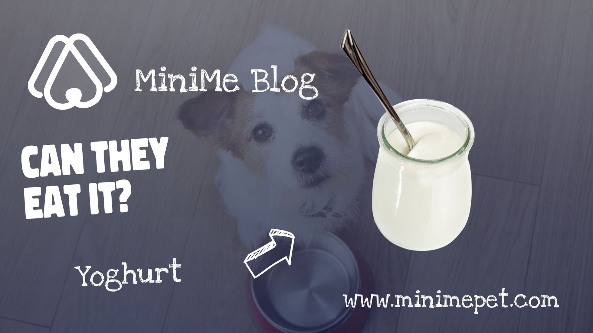 Can Dogs Eat Yoghurt? MiniMe Pet Social App for Pets