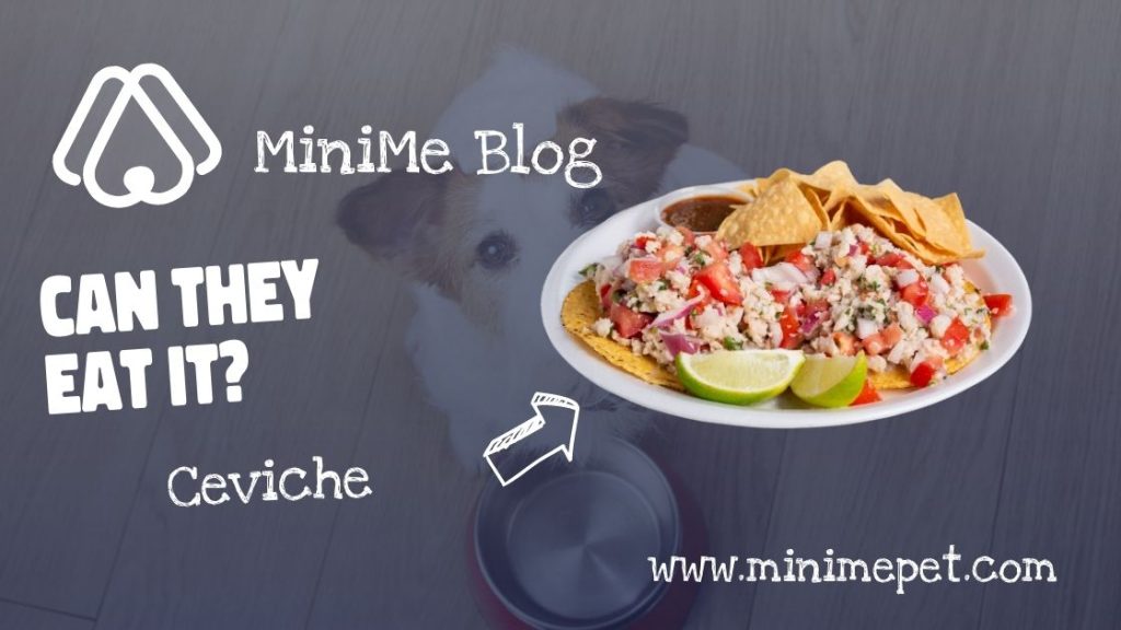 Can Dogs Eat Ceviche?