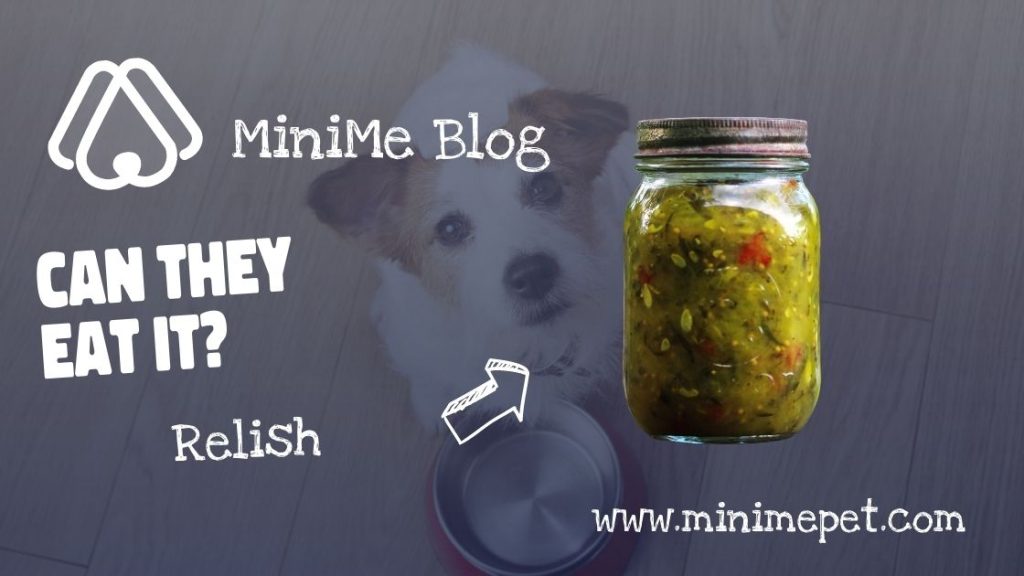 Can dogs eat relish?