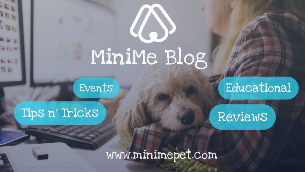 minime pet blog