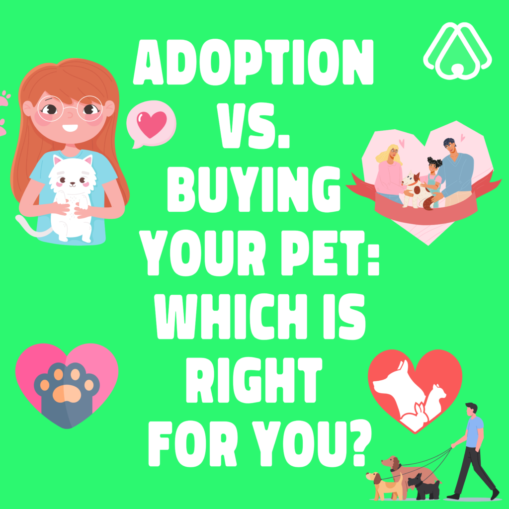 Adopting or Buying: Which Is Right for You?